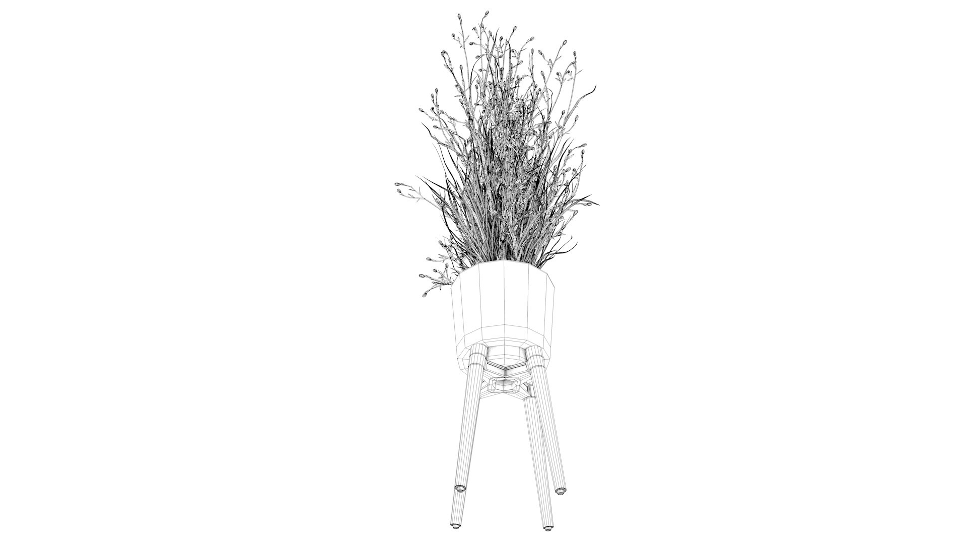 Flower 3 model https://p.turbosquid.com/ts-thumb/16/RDFtNA/Ah/cel0002/jpg/1618054832/1920x1080/fit_q87/0e666bd5829d1502740f1605f175f488777e5215/cel0002.jpg
