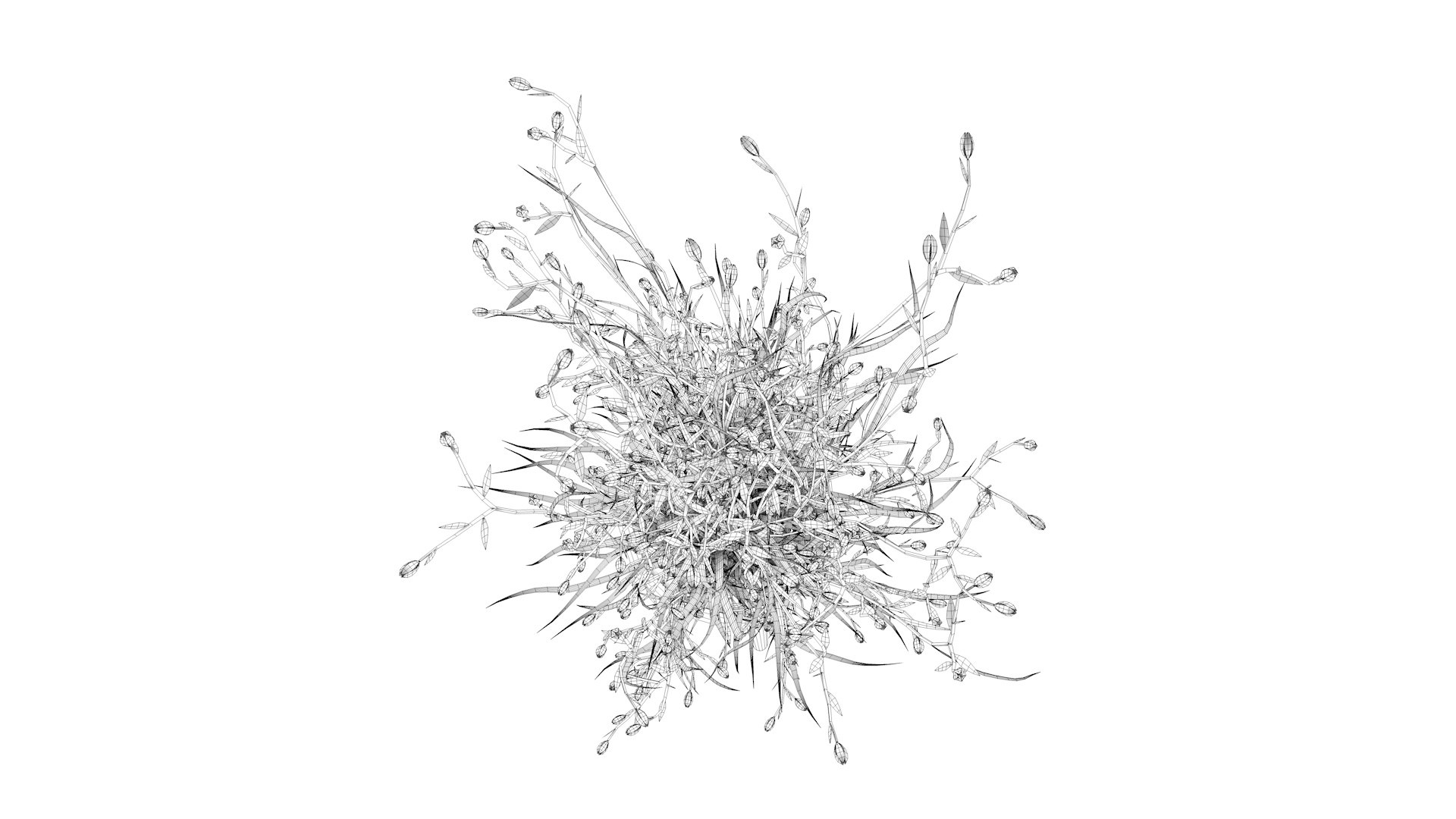 Flower 3 model https://p.turbosquid.com/ts-thumb/16/RDFtNA/G7/cel0003/jpg/1618054839/1920x1080/fit_q87/6836999c062e0f148992159814787e7e8f5ece92/cel0003.jpg