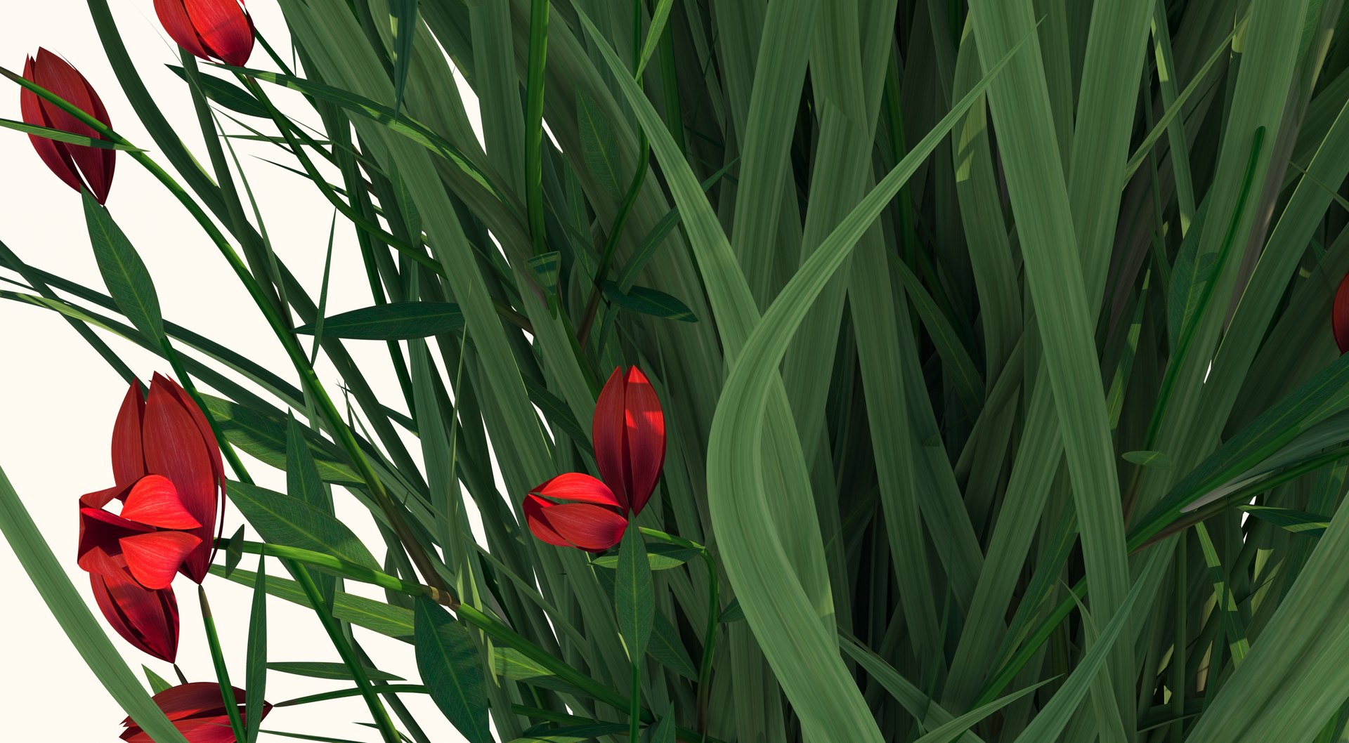 Flower 3 model https://p.turbosquid.com/ts-thumb/16/RDFtNA/Vn/8/jpg/1618053693/1920x1080/fit_q87/a79ef58edbdfb961c4ac90a498539b09d1313201/8.jpg