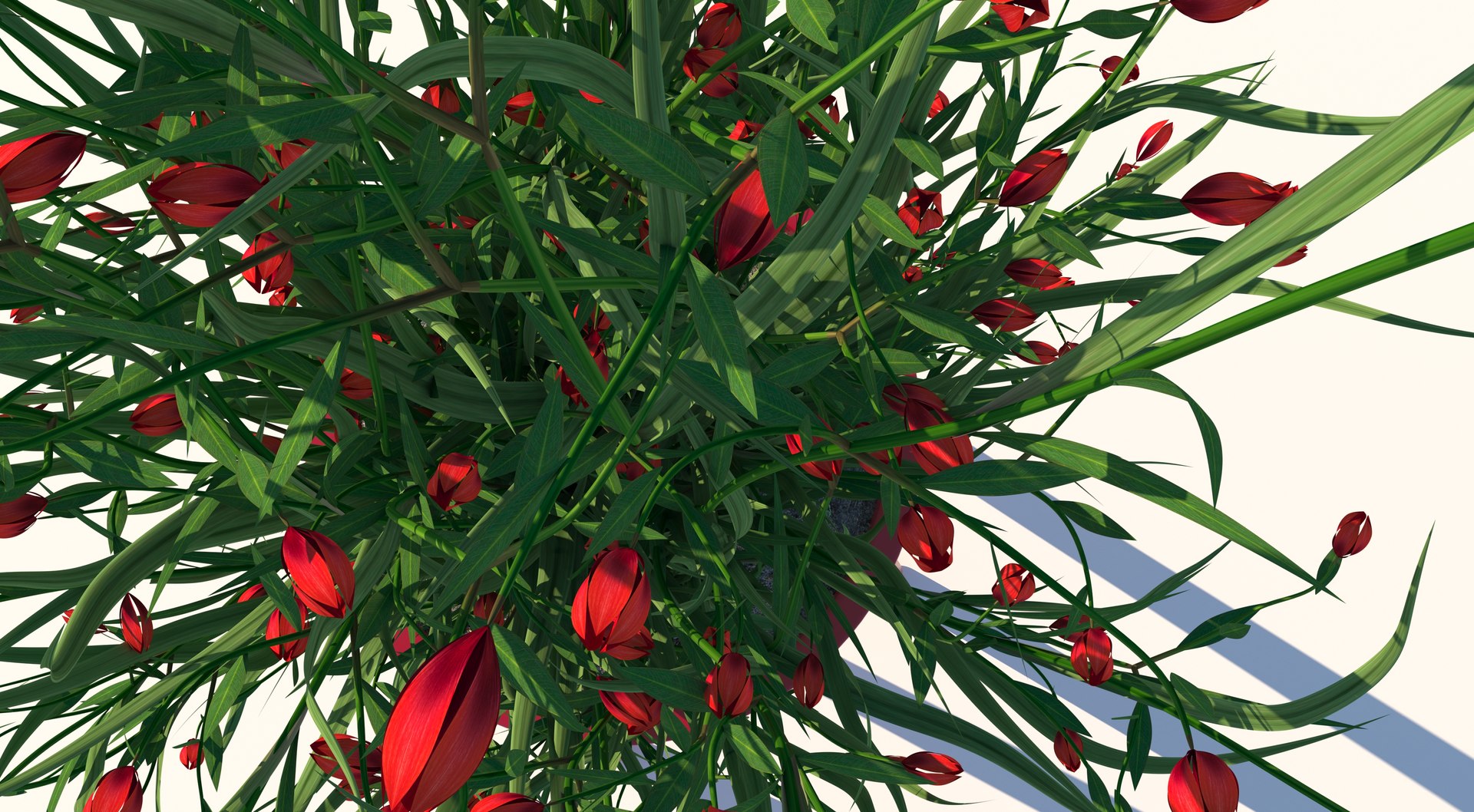 Flower 3 model https://p.turbosquid.com/ts-thumb/16/RDFtNA/Zp/7/jpg/1618053645/1920x1080/fit_q87/a850890f06dc76bc6821a0543c26c744ca02a474/7.jpg