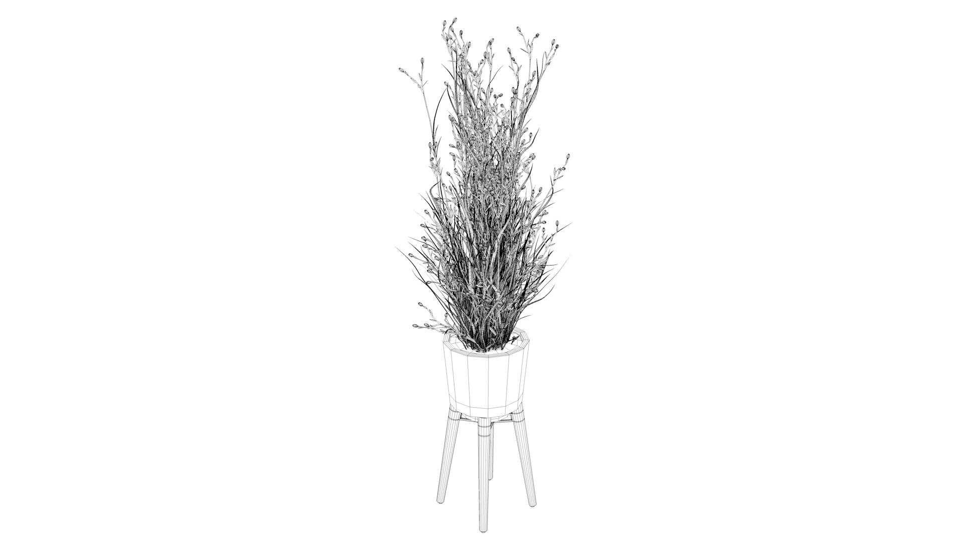 Flower 3 model https://p.turbosquid.com/ts-thumb/16/RDFtNA/mY/cel0000/jpg/1618054836/1920x1080/fit_q87/a7e3e2442053279b95e55dd0a86aa1a69c21947c/cel0000.jpg