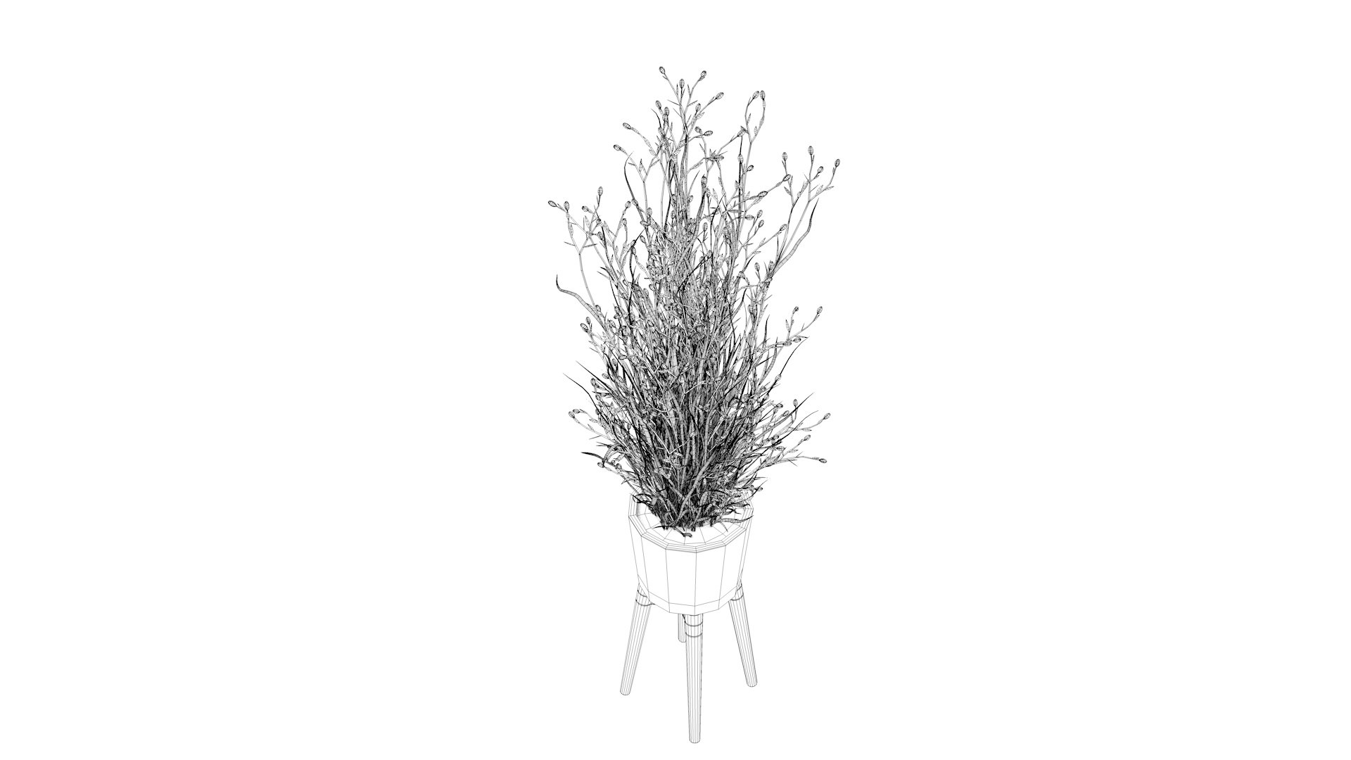 Flower 3 model https://p.turbosquid.com/ts-thumb/16/RDFtNA/ys/cel0001/jpg/1618054831/1920x1080/fit_q87/1ca1dc63f4d3bad32ad98c9f34b7c7dfcd76ece9/cel0001.jpg