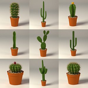 3d model cactus pot