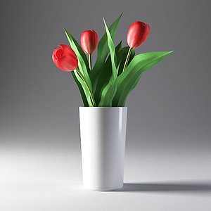 3d tulip flower model