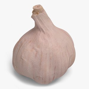 3d garlic ready unreal model