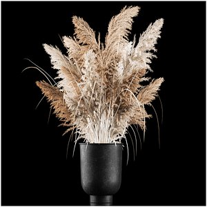 Bouquet Of Dry Reeds In A Black Metal Pot  269 model