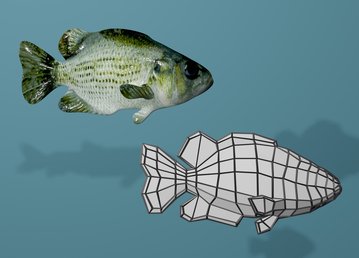 Fish Swimming Animation Bass 3D Model - TurboSquid 1664718