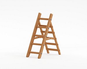 Wooden Ladder
