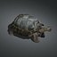 3d galapagos tortoise animation