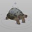 3d galapagos tortoise animation
