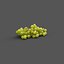 grape vines 3D model