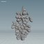 grape vines 3D model
