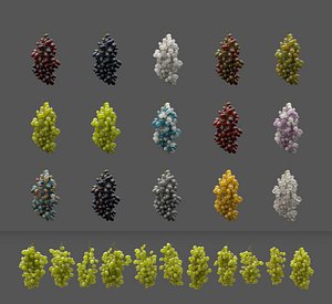 grape vines 3D model