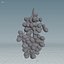 grape vines 3D model