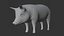 3D Detailed Realistic Farm Pig Rigged model