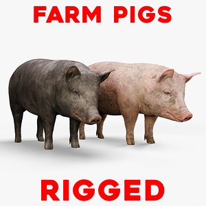 3D Detailed Realistic Farm Pig Rigged model
