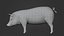 3D Detailed Realistic Farm Pig Rigged model
