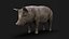 3D Detailed Realistic Farm Pig Rigged model
