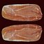 Prosciutto