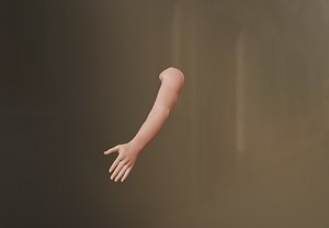 Female Arm 3D model 3D