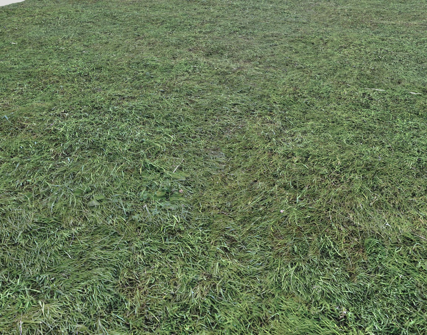 Wet Grass terrain PBR textures model https://p.turbosquid.com/ts-thumb/18/4DNAKd/14/screenshot003/png/1751394047/1920x1080/fit_q87/3c19d34fe160e7412344cde1f37b076ac9d8945f/screenshot003.jpg