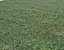 Wet Grass terrain PBR textures