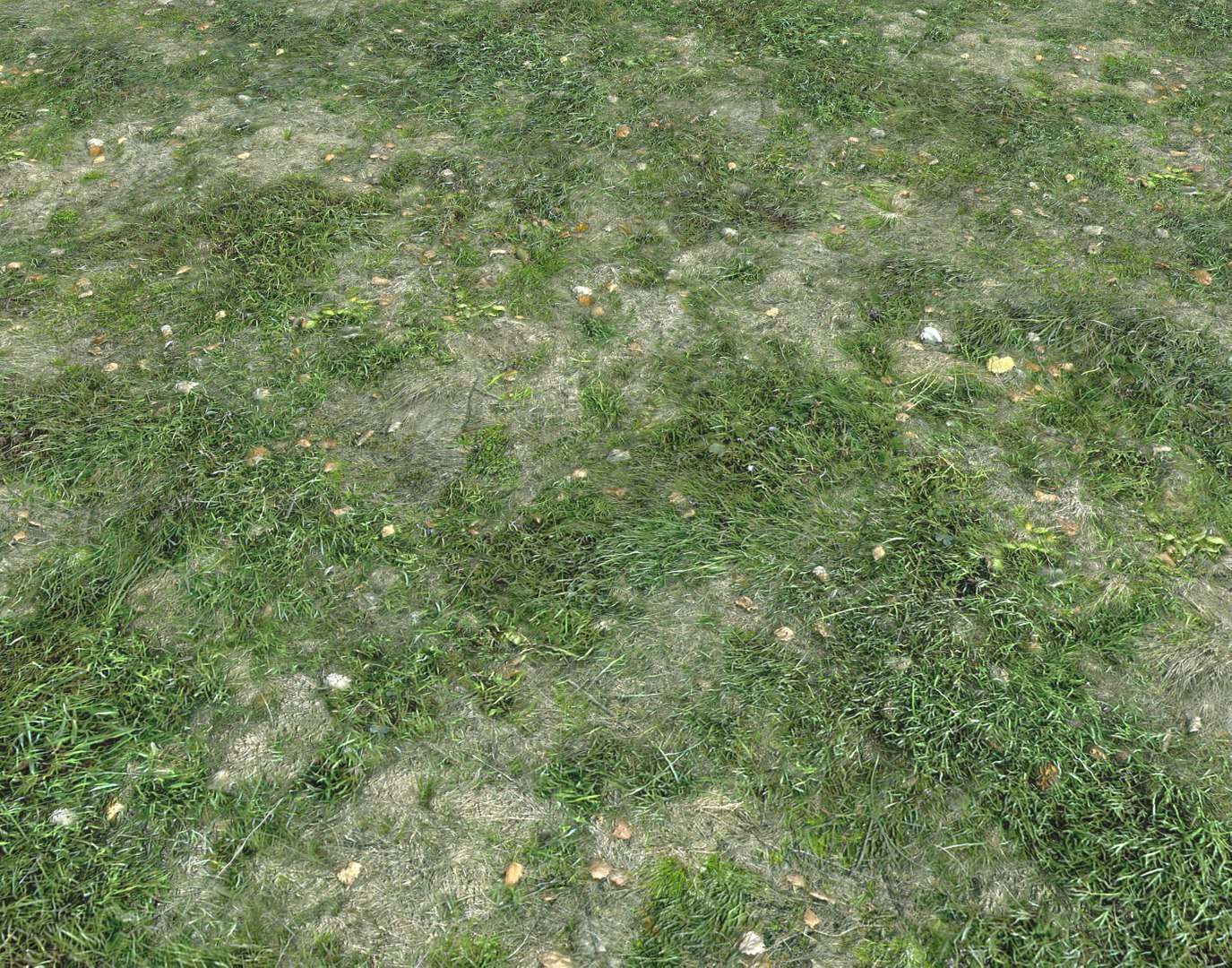 Wet Grass terrain PBR textures model https://p.turbosquid.com/ts-thumb/18/4DNAKd/3w/screenshot005/png/1751394049/1920x1080/fit_q87/466b89cef78801957621a8461a646ac2bac230cb/screenshot005.jpg