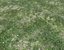 Wet Grass terrain PBR textures