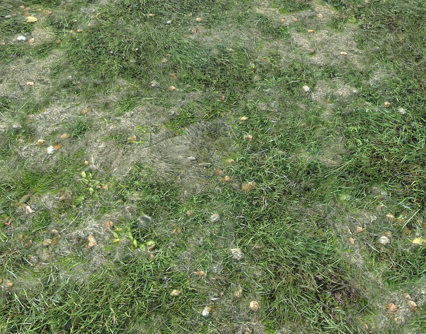 Wet Grass terrain PBR textures model https://p.turbosquid.com/ts-thumb/18/4DNAKd/5o/screenshot007/png/1751394050/1920x1080/fit_q87/b4ce1e7538dea714837f105fc7bc6b12e3775dcc/screenshot007.jpg