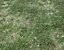 Wet Grass terrain PBR textures
