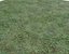 Wet Grass terrain PBR textures