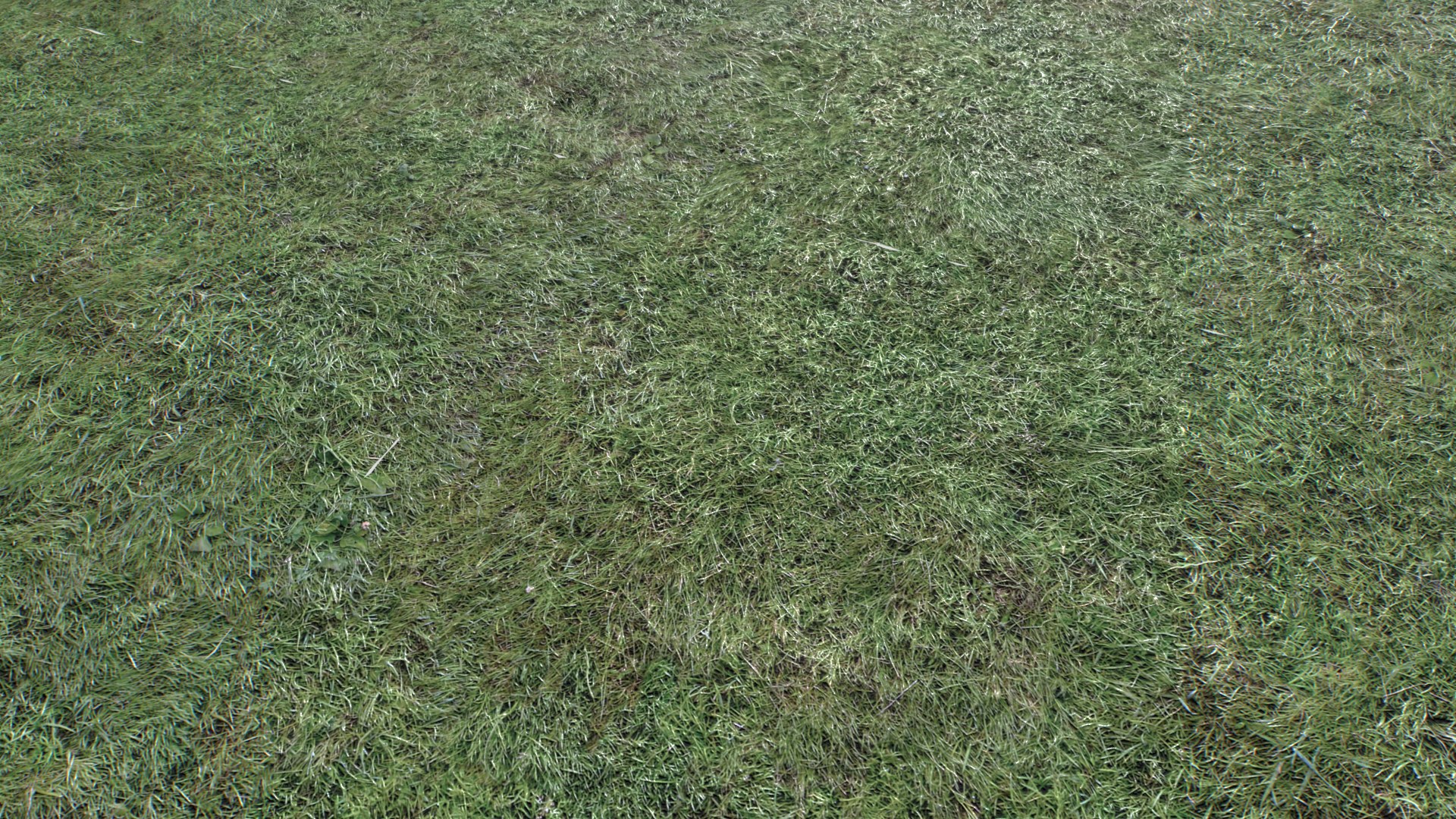 Wet Grass terrain PBR textures model https://p.turbosquid.com/ts-thumb/18/4DNAKd/9S/untitled/png/1751392740/1920x1080/fit_q87/c8f51753d1a318eceb258f752ca6beb34a55d492/untitled.jpg