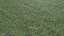 Wet Grass terrain PBR textures
