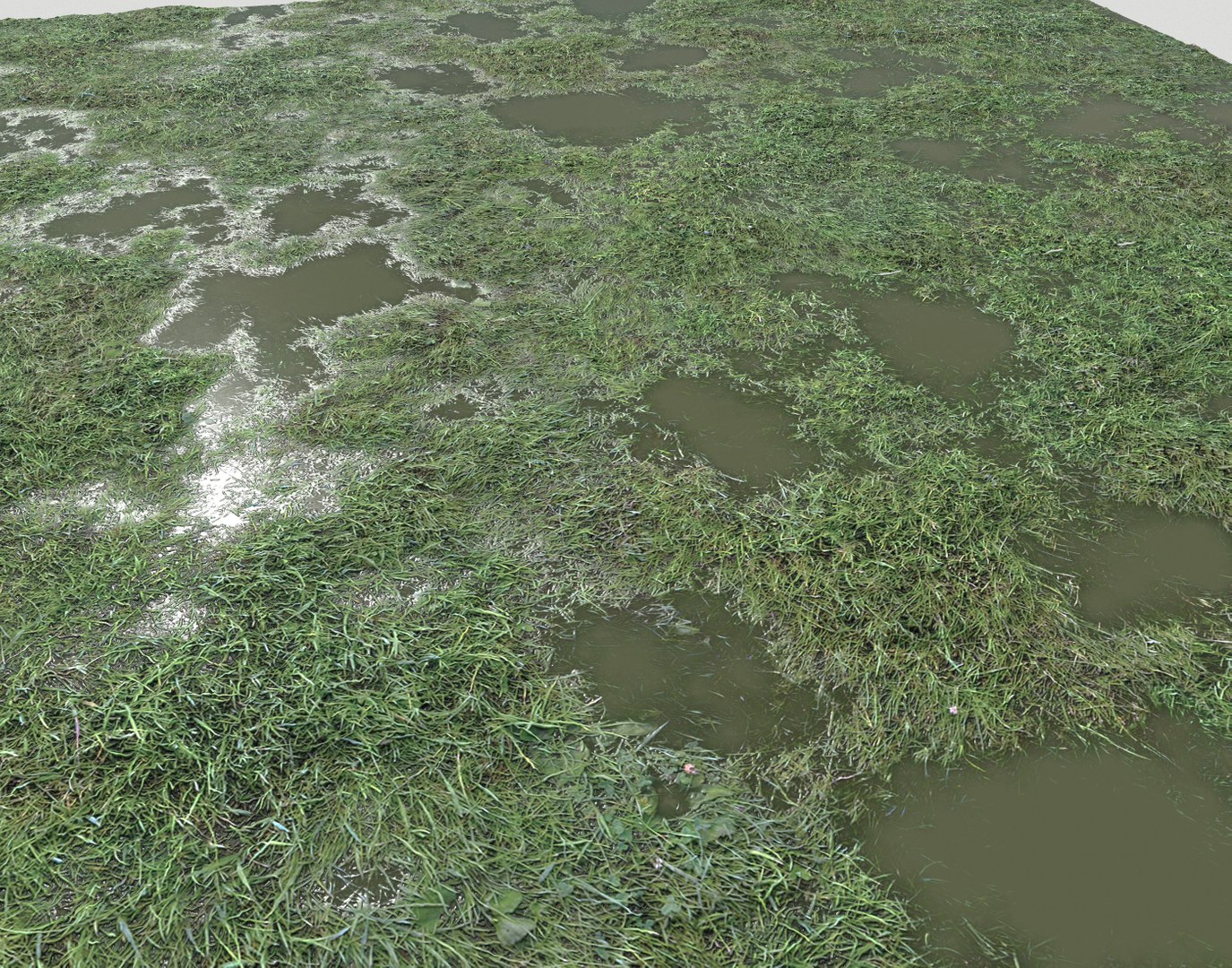 Wet Grass terrain PBR textures model https://p.turbosquid.com/ts-thumb/18/4DNAKd/BR/screenshot011/png/1751394052/1920x1080/fit_q87/851c444094e882c80111787971c84256c7e1b177/screenshot011.jpg