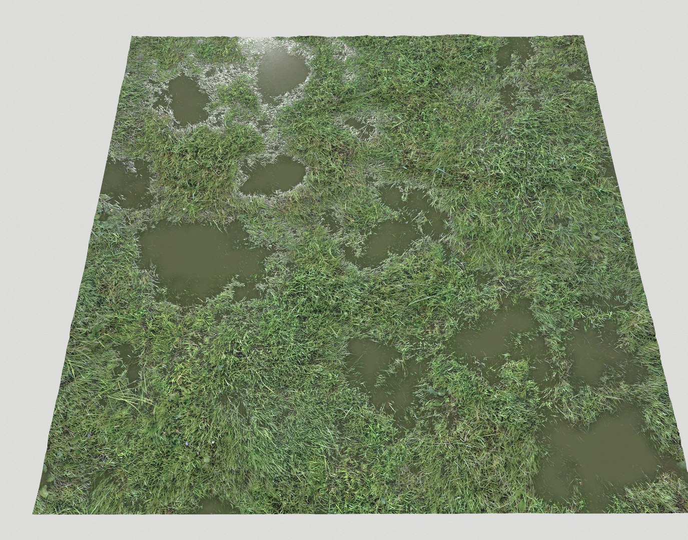 Wet Grass terrain PBR textures model https://p.turbosquid.com/ts-thumb/18/4DNAKd/Bc/screenshot018/png/1751394057/1920x1080/fit_q87/296e969f0ecc761275eadff9d7bfaca68c793145/screenshot018.jpg