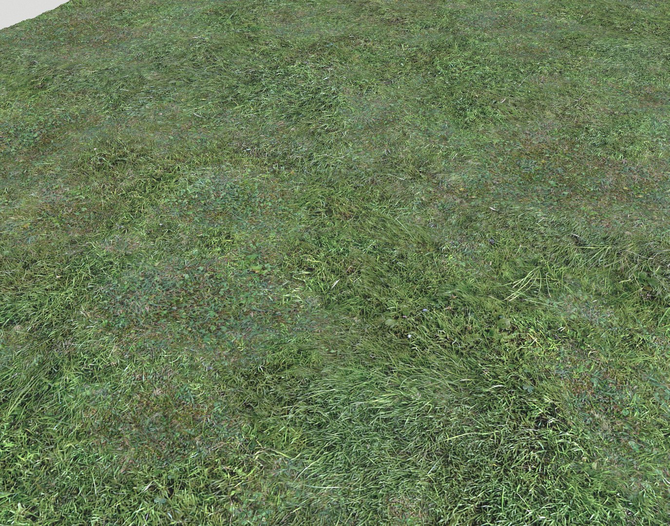 Wet Grass terrain PBR textures model https://p.turbosquid.com/ts-thumb/18/4DNAKd/GH/screenshot013/png/1751394054/1920x1080/fit_q87/e1a3fa6c2dec4df46734ca51bcf463a93d6619bb/screenshot013.jpg