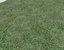Wet Grass terrain PBR textures
