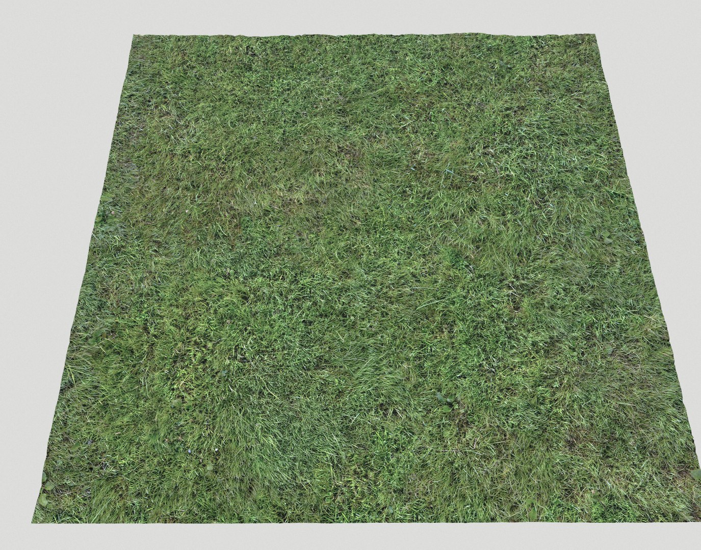 Wet Grass terrain PBR textures model https://p.turbosquid.com/ts-thumb/18/4DNAKd/Jg/screenshot016/png/1751394055/1920x1080/fit_q87/55fd297155202bc46cb872dd74e3dc0f6e2cce68/screenshot016.jpg