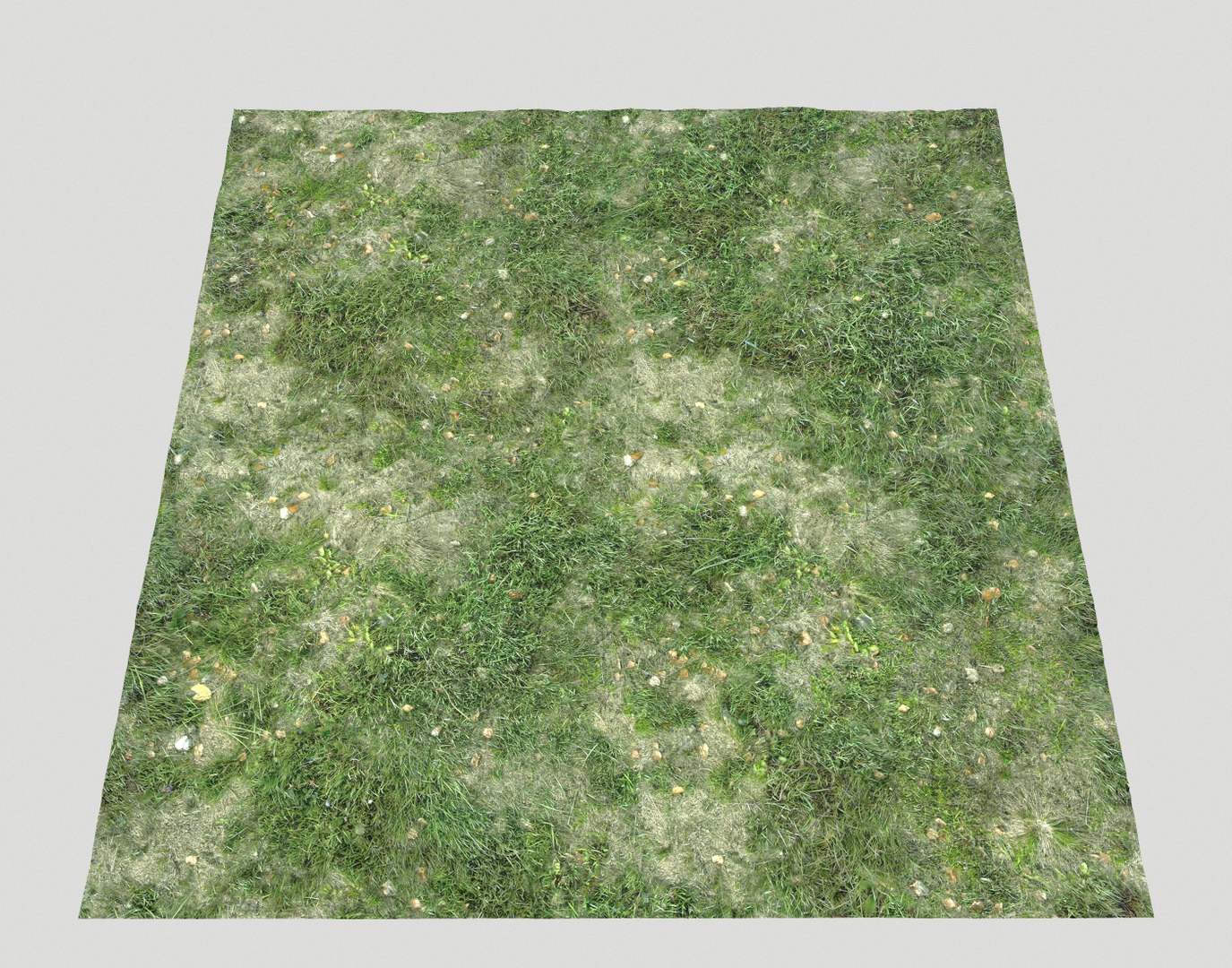 Wet Grass terrain PBR textures model https://p.turbosquid.com/ts-thumb/18/4DNAKd/Ux/screenshot017/png/1751394055/1920x1080/fit_q87/dbc04ff509504671cee0332e5c54a4e2e3cda459/screenshot017.jpg