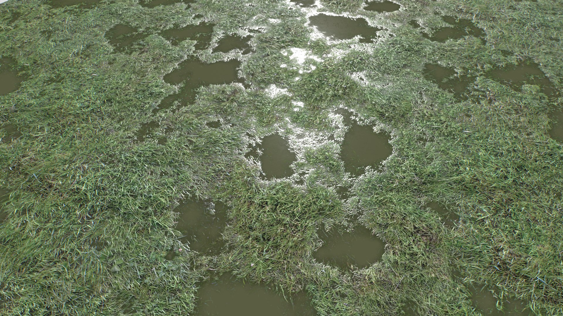 Wet Grass terrain PBR textures model https://p.turbosquid.com/ts-thumb/18/4DNAKd/Vp/untitled_002/png/1751392741/1920x1080/fit_q87/1ca57a205f51d1ba2f3bdd2d0dd7a83a29087cf8/untitled_002.jpg
