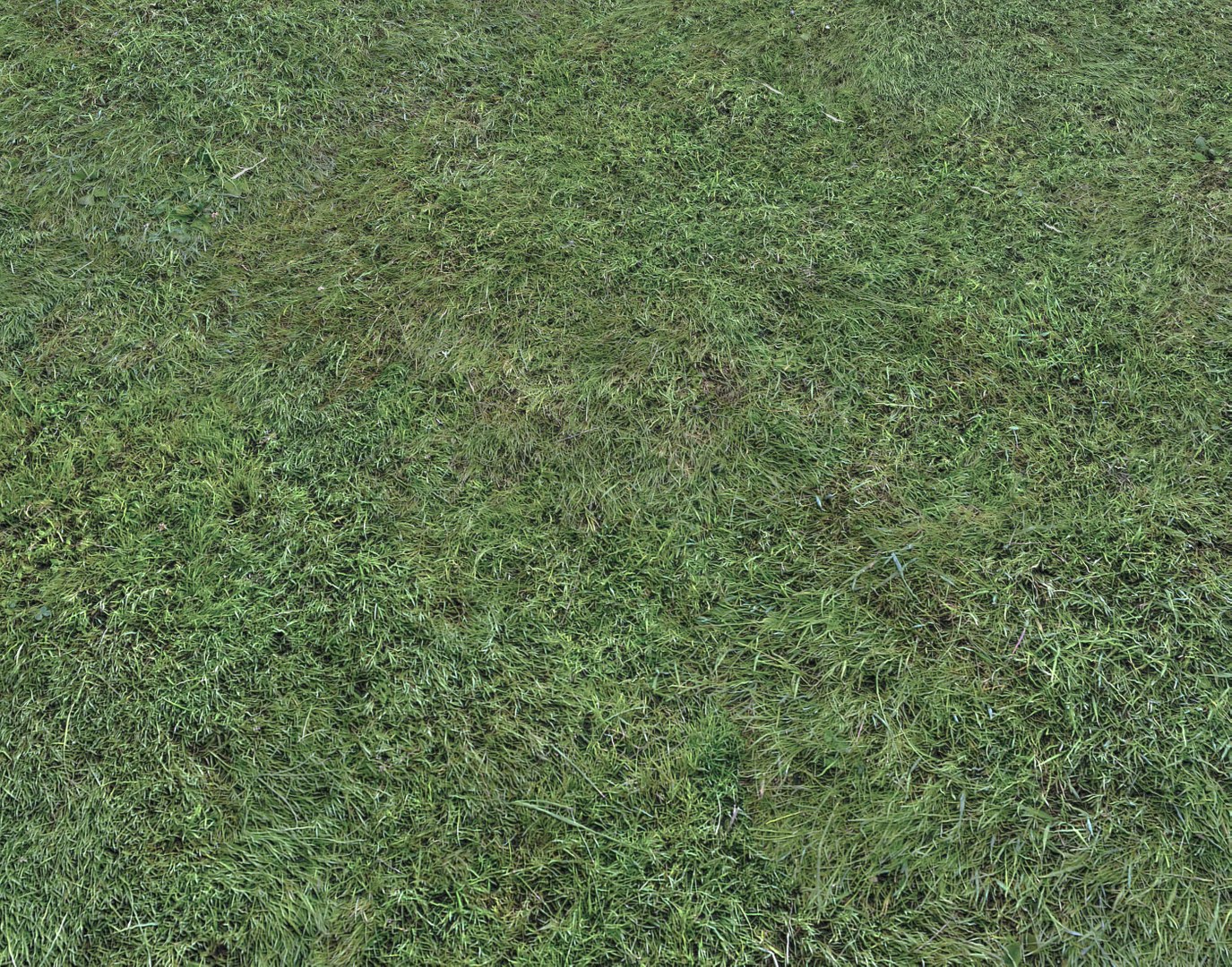 Wet Grass terrain PBR textures model https://p.turbosquid.com/ts-thumb/18/4DNAKd/XN/screenshot000/png/1751394046/1920x1080/fit_q87/4ee1d68f52fa49b70171919512d00eb811c0be78/screenshot000.jpg