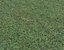Wet Grass terrain PBR textures