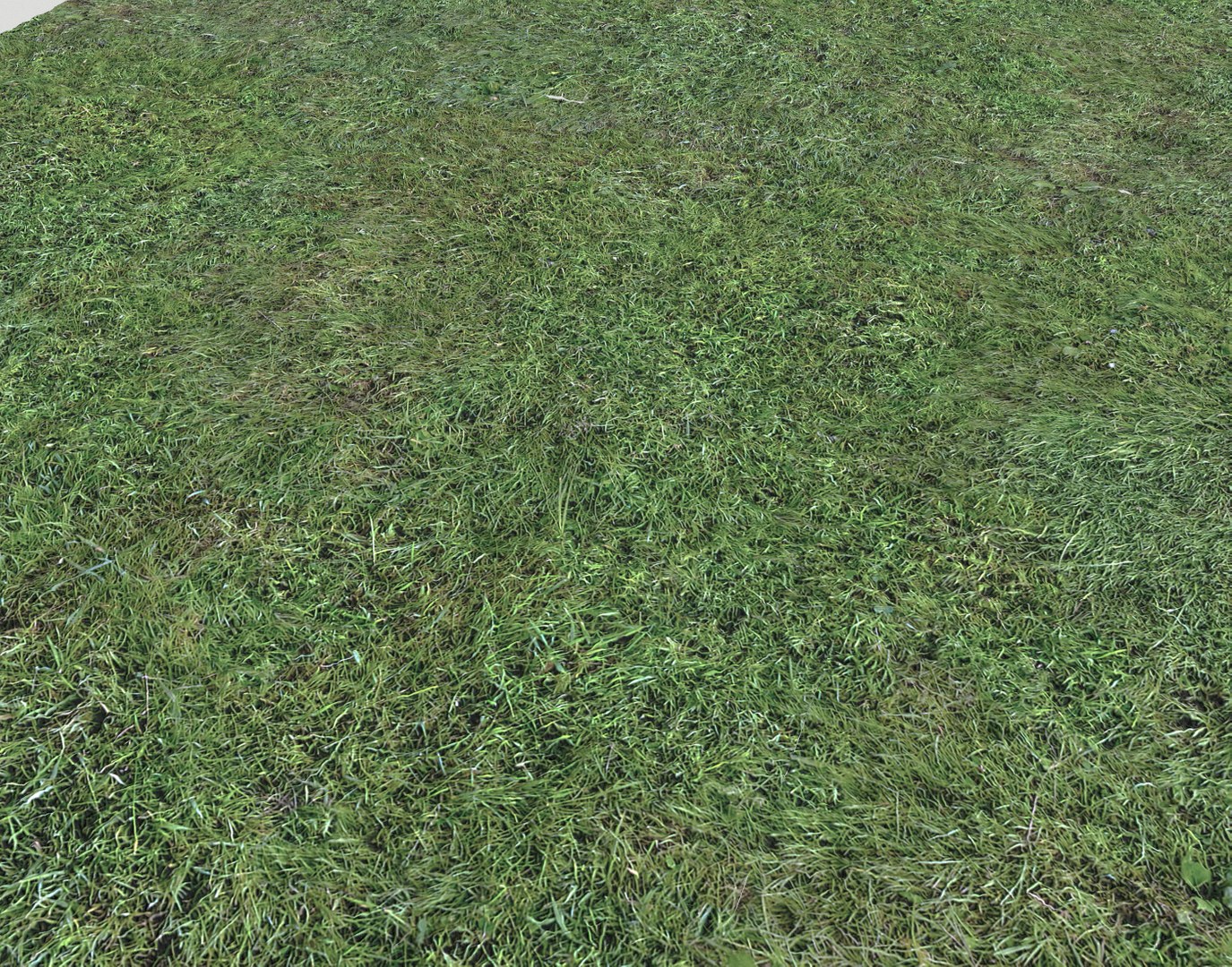 Wet Grass terrain PBR textures model https://p.turbosquid.com/ts-thumb/18/4DNAKd/Yf/screenshot001/png/1751394047/1920x1080/fit_q87/b1dc20c59f01ee8f162d9fd380db5a0d1ddf67bb/screenshot001.jpg