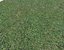 Wet Grass terrain PBR textures