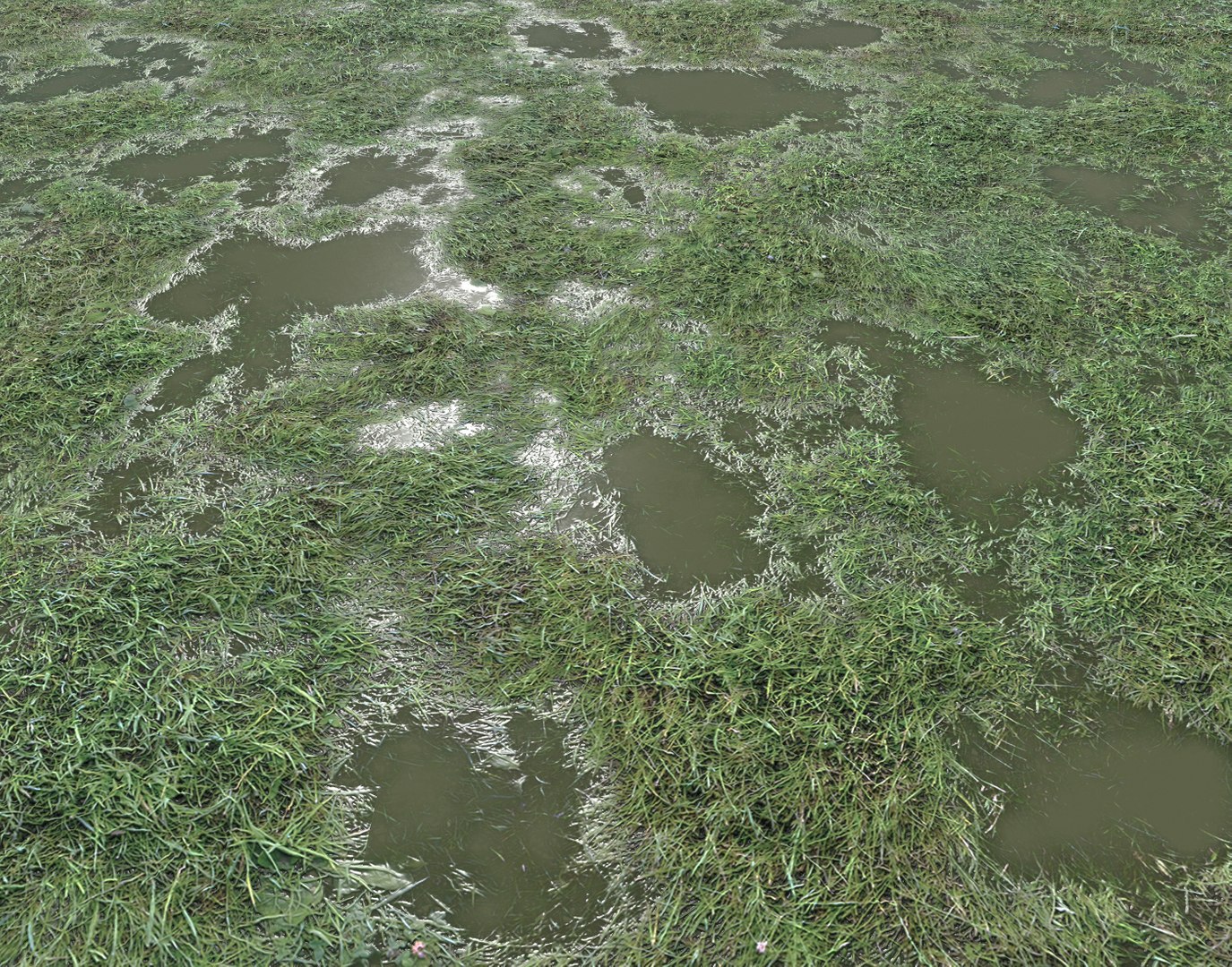 Wet Grass terrain PBR textures model https://p.turbosquid.com/ts-thumb/18/4DNAKd/aa/screenshot008/png/1751394050/1920x1080/fit_q87/4707922b9582450ec085af6a8ede8bbcd438c52f/screenshot008.jpg