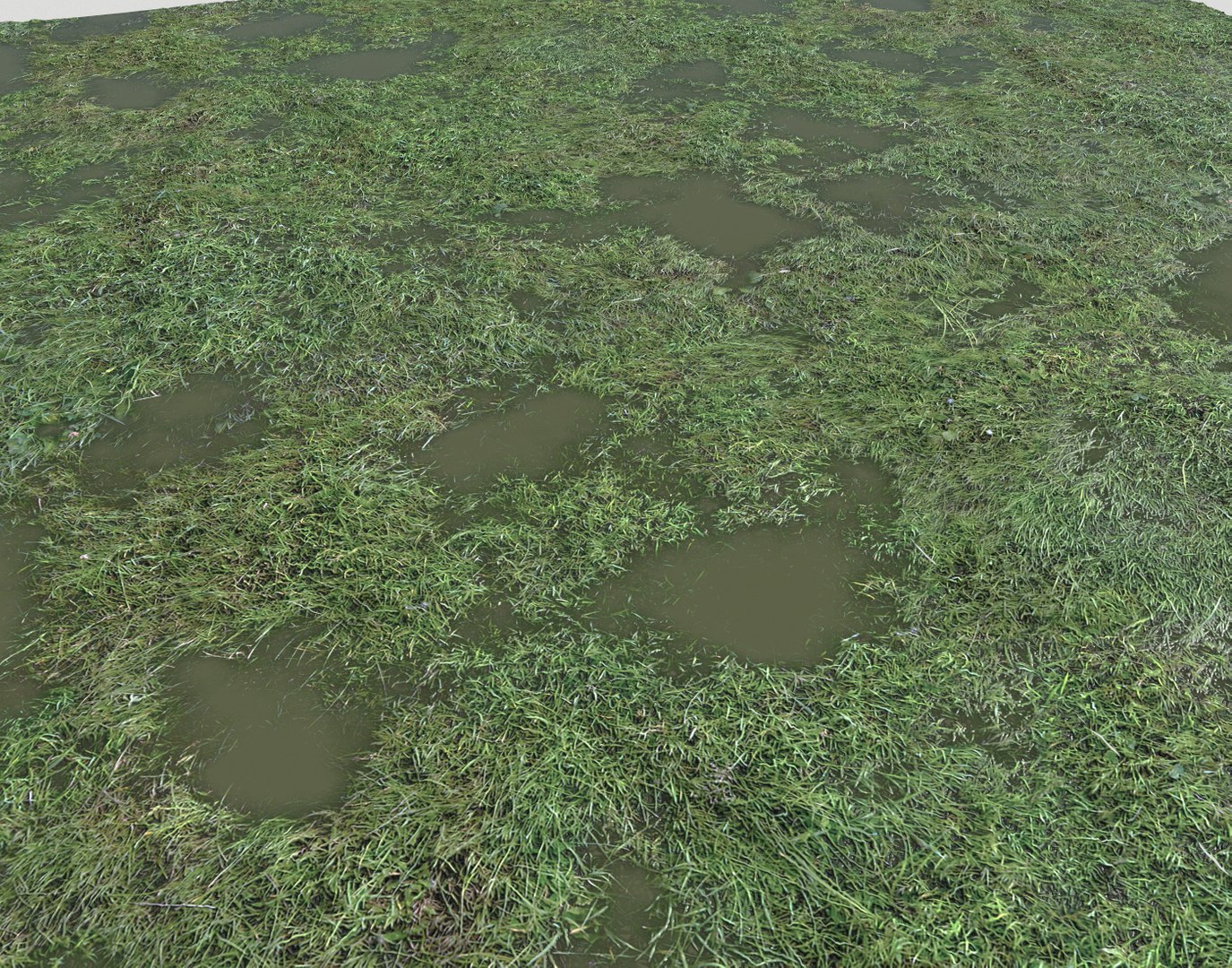 Wet Grass terrain PBR textures model https://p.turbosquid.com/ts-thumb/18/4DNAKd/cT/screenshot010/png/1751394052/1920x1080/fit_q87/556e78f067533aade5245f4c802d28a7f9acb197/screenshot010.jpg