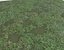 Wet Grass terrain PBR textures