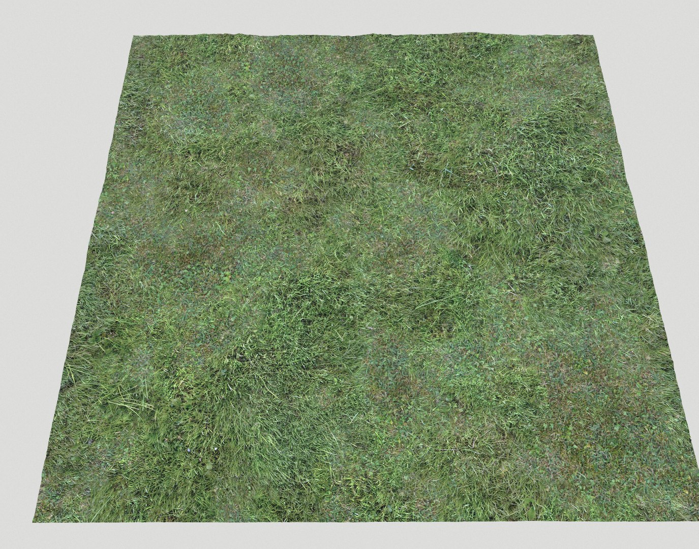 Wet Grass terrain PBR textures model https://p.turbosquid.com/ts-thumb/18/4DNAKd/eL/screenshot019/png/1751394058/1920x1080/fit_q87/3617d9be30424b6ffb700333c6dcbfa5b58f7ff1/screenshot019.jpg