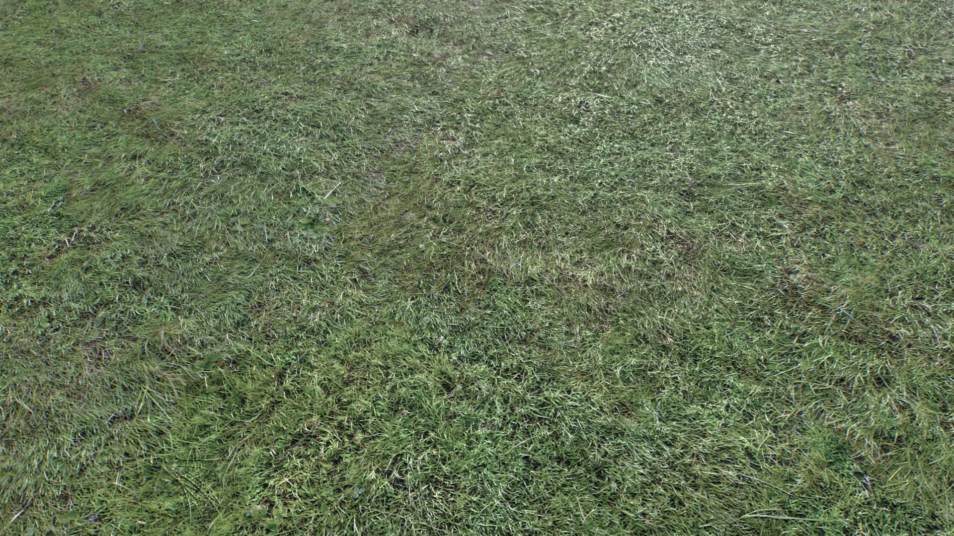 Wet Grass terrain PBR textures model https://p.turbosquid.com/ts-thumb/18/4DNAKd/eO/untitled_004/png/1751392744/1920x1080/fit_q87/7131b3bacb46103fd22468ad6f26f81a78cc2e53/untitled_004.jpg