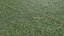 Wet Grass terrain PBR textures